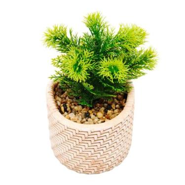 Imagem de Cachepot de cerâmica com suculenta palha 10 x10 x19 cm Wolff - 61608