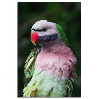 Imagem de Papagaio arte de parede bigode impressão em tela pôster de pássaro para decoração de escritório doméstico não ramed 30,5 x 20,3 cm