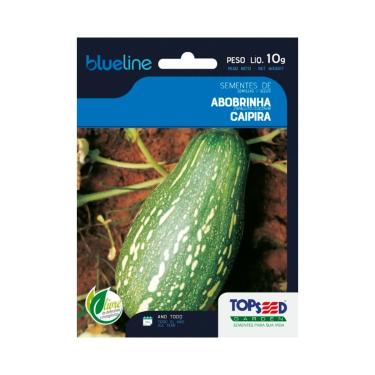 Imagem de Sementes de Abobrinha Caipira, 10g, Para Horta, Cultivo Todo Ano