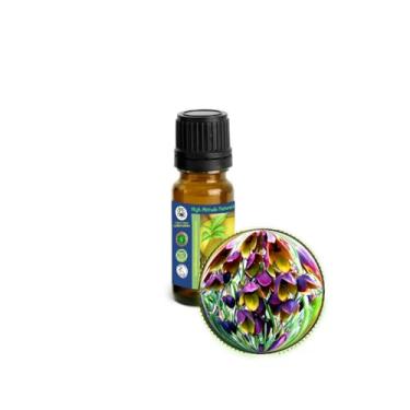 Imagem de Óleo essencial absoluto de boronia (boronia megastigma) - 10 ml (1/85.0 g)