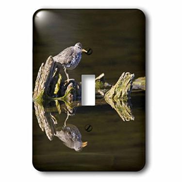 Imagem de 3dRose Lsp_70376_1" British Columbia, Spotted Sandpiper, Deadwood-CN02 LDI0067-Larry Ditto Interruptor único