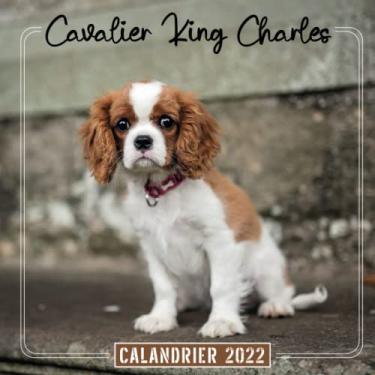 Imagem de Calendrier 2022 Cavalier King Charles: Une Jolie Calendrier Mensuel de 12 Mois ( de Janvier à Décembre 2022 ) avec Note | 12 Photos en Couleurs hautes ... Cavalier King Charles | idèe cadeau nouvel an