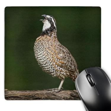 Imagem de Northern Bobwhite codorna chamada de pássaros - US44 LDI0711 - Larry Ditto - Mouse pad, 20 x 20 cm (mp_146837_1)