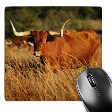 Imagem de 3dRose Longhorn bull wildlife, Oklahoma, EUA - US37 DBN0001 - Mouse pad, 8 x 8 polegadas (mp_145650_1)