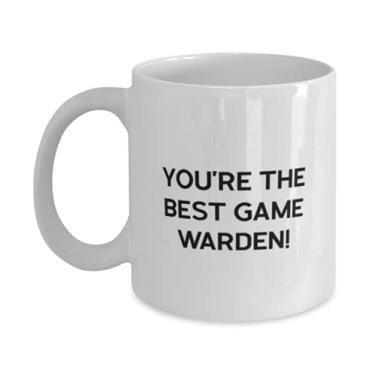 Imagem de Ideia única de Game warden, You're the Best Game Warden!, Caneca de formatura de 325 ml para Game warden