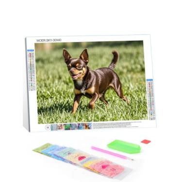 Imagem de MOER SKY Diamond Art Chocolate Chihuahua 5D Pintura Diamante Kits DIY Completo Redondo Broca Cristal por Número Mosaico Artes e Artesanato para Sala de Estar Quarto Casa Decoração de Parede 12 x 16