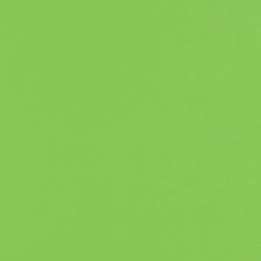 Imagem de LUXPaper Cartolina de 30,5 cm x 30,5 cm | Verde Limelight | Capa de 45 kg | 50 Qtd
