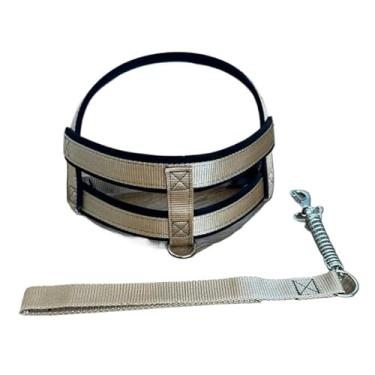 Imagem de Coleira peitoral para cachorros de medio grande porte pet resistente dog reforçada (BEGE,M)