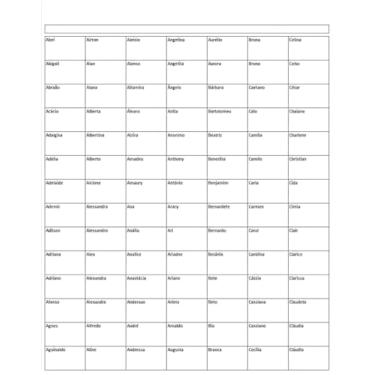 Imagem de Cartela de rifa com 400 nomes.