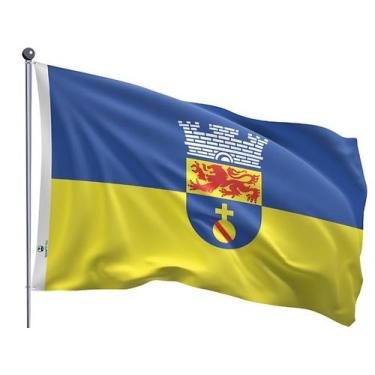 Imagem de Bandeira do Município de Olinda Dupla Face Estampada Tamanho 90x128cm 