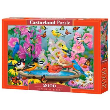 Imagem de Puzzle 2000 Peças Pássaros na Fonte - Castorland Importado 2008182