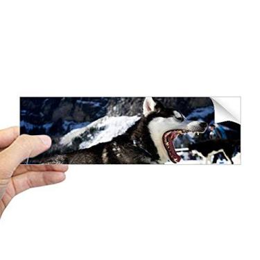 Imagem de DIYthinker Adesivo retangular para para-choque com imagem de cachorro Snow Husky de boca grande para janela