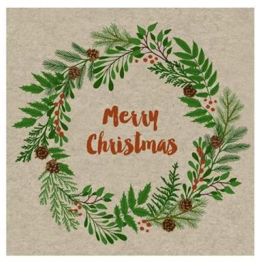 Imagem de Guardanapo de Papel Estampa Natal Guirlanda Guirlanda 20 Und - By Duni