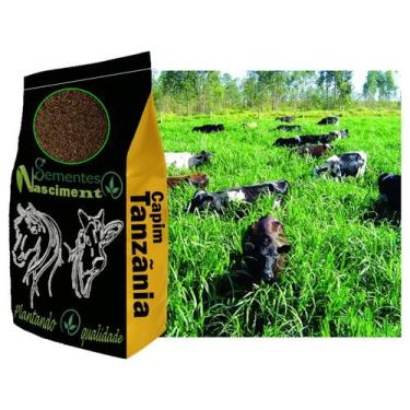 Imagem de 20kg Sementes de capim Tanzãnia para pastagem excelente para Caprinos 