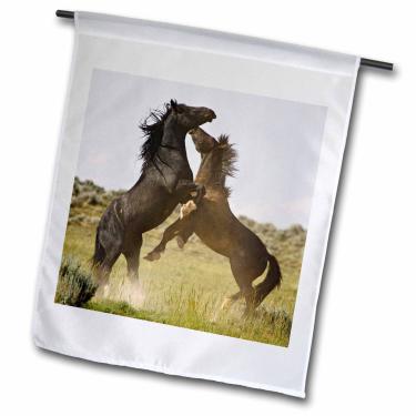 Imagem de 3dRose fl_97466_1 Cavalos de Feral Sagebrush Country Wyoming US51 Ldi0057 Larry Ditto Bandeira de Jardim, 30 x 45 cm