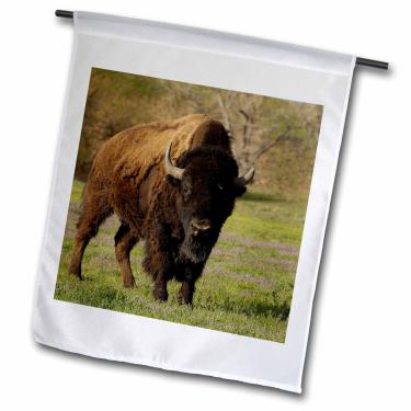 Imagem de 3dRose fl_97520_1 Bisão americano, Durham Ranch, Campbell Co, Wyoming-Us51 Pox0090-Pete Oxford Bandeira de jardim, 30 x 45 cm
