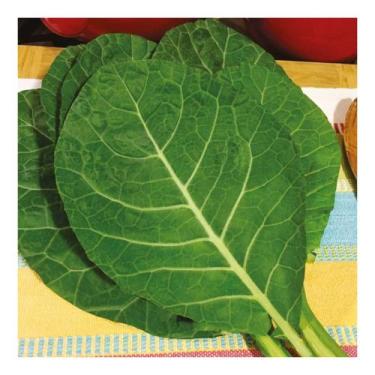 Imagem de Sementes de Couve Manteiga da Georgia Env C/ 10gr - ISLA