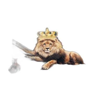 Imagem de Papel De Parede 3D Animais Leão Rosto Rei Olhar 3,5M Anm448 - Você Dec