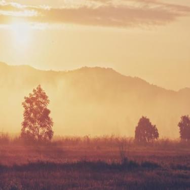 Imagem de Quadro Decorativo Paisagem de Árvores ao Pôr do Sol - Arte em Tela para Decoração de Ambientes Tamanho 30x30cm