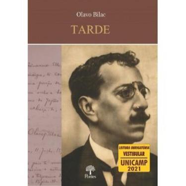 Imagem de Tarde - Vestibular UNICAMP 2022 - PONTES, 3