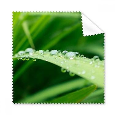 Imagem de Pano de limpeza natural de folhas verdes para limpeza de plantas, 5 peças