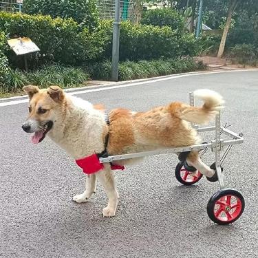 Imagem de Cadeira de rodas para cães com deficiência nas pernas traseiras, grandes e médias 2 rodas cadeiras de rodas para animais de estimação/cachorrinho, rodas de exercício de animais ajustáveis para cães
