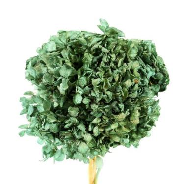Imagem de Hortência Verde Desidratado - Pense Flores