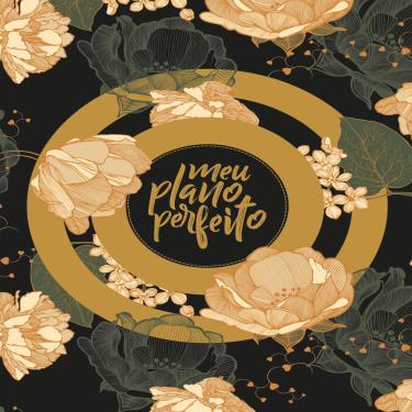 Imagem de Livro Meu plano perfeito 2026