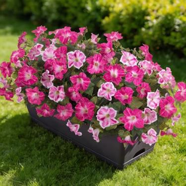 Imagem de Ammyoo 6 peças de flores artificiais petúnias falsas para ambientes externos, flores falsas para plantação externa, resistentes a UV, plantas falsas realistas para uso externo, não desbotam para