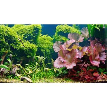 Imagem de Fundo de aquário folhas de grama subaquática seixos fundo de planta aquática verde vívido e fresco cama de rio madeira morta folhas roxas fundo de tanque vinil 91 x 45 cm