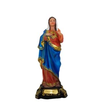 Imagem de Imagem Sagrado Coração De Maria 14cm