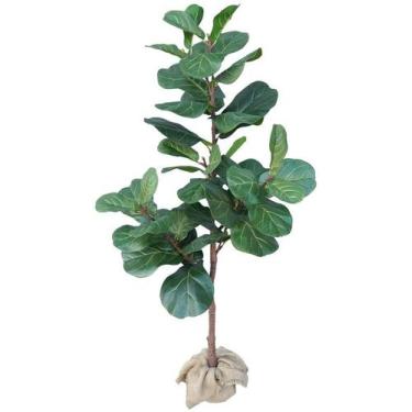 Imagem de Arvore Planta Ficus Lyrata 175cm Tronco Real e Grande - La Caza Store