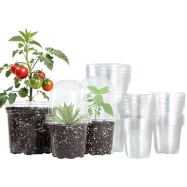 Imagem de Bluepro 36 pacotes de vasos transparentes para berçário de 1,5 cm com cúpulas de umidade, vasos de plantas transparentes com orifícios de drenagem, pacotes variados de sementes para suculentas, flores