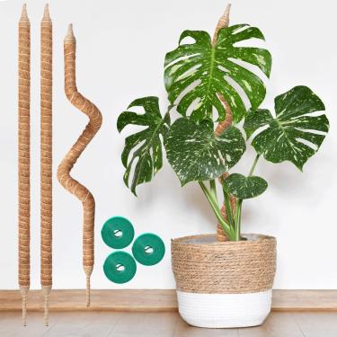 Imagem de Vanut Pacote com 3 postes de musgo de 71 cm para plantas internas, dobrável e resistente, estaca de cacto espinha de peixe para Monstera, videiras Pothos, filodendro e plantas domésticas tropicais