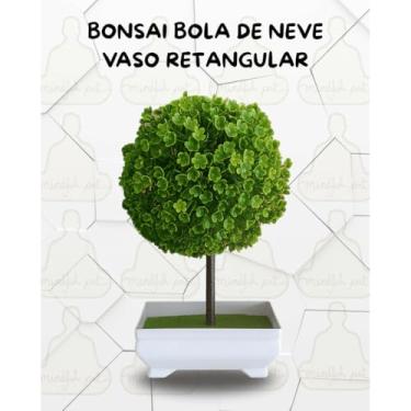 Imagem de Genérico, Planta Artificial Bonsai Bola de Neve Vaso Retangular Branco - Decoração e Estilo Para o Lar