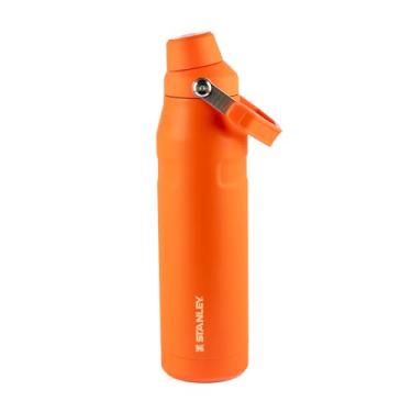 Imagem de Stanley - Garrafa de água Aerolight com tampa de fluxo rápido, copo isolado a vácuo para bebidas frias, aço inoxidável leve, 710 ml, Tigerlily
