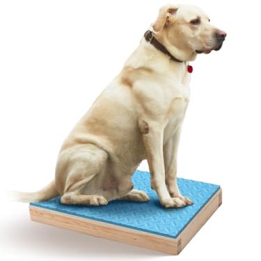 Imagem de Chunful Plataforma de treinamento de cães com superfície antiderrapante para cães, equipamento de treinamento de agilidade, caixa pivô para uso interno ou externo, placas de apoio para filhotes (53 x