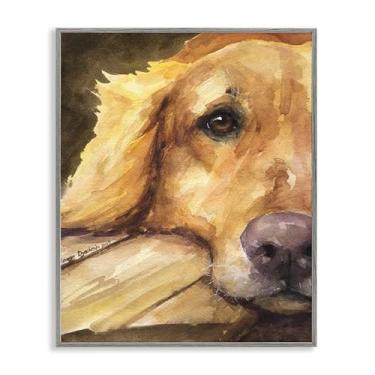 Imagem de Stupell Industries Arte giclée emoldurada cinza vista do Golden Retriever, design de George Dyachenko, 50 x 40 cm