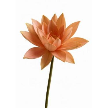 Imagem de Flor Artificial Albatroz  Salmão claro