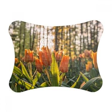 Imagem de Moldura de quebra-cabeça com cenário de natureza e floresta, decoração de quadro