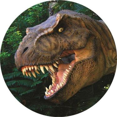 Imagem de Painel Redondo 3D Sublimado Dinossauro Frd-1850