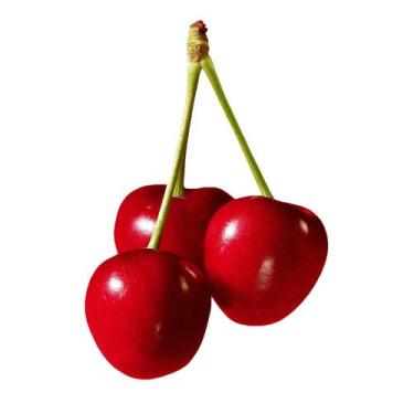 Imagem de Muda Frutífera de Cereja de Bolo Enxertada - AgroJardim