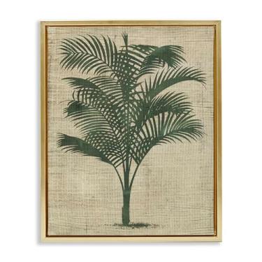 Imagem de Stupell Industries Design de arte de parede em tela emoldurada vintage de planta de palmeira dourada por June Erica Vess, 25 x 31