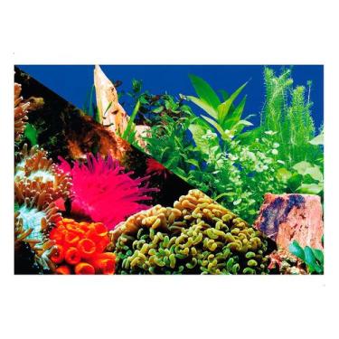 Imagem de Enfeite Painel Imagem Para Aquario Doce Marinho 50x35cm N3 - STEELLPET