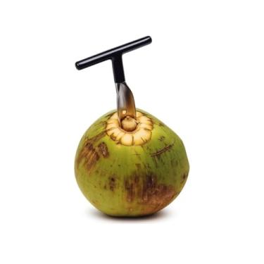 Imagem de Abridor de Coco em Aço Inoxidável, 16cm, com Cabo T de 8cm, Perfurador Manual