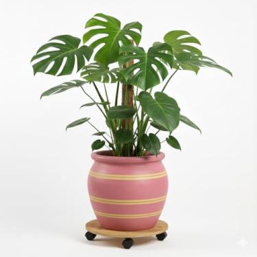 Imagem de Genérico, Vaso Cônico Provençal, Uso Interno, Grande, Cinza, Cerâmica, Vaso de Chão, Cônico, Montagem em Parede, Vaso de Plantas, 11x12x6 cm