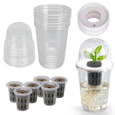 Imagem de Vasos hidropônicos transparentes de 8,6 cm com cúpula de umidade, 6 peças, copos transparentes para iniciantes de plantas com tampas para início de sementes, mudas, suculentas, propagação de solo e