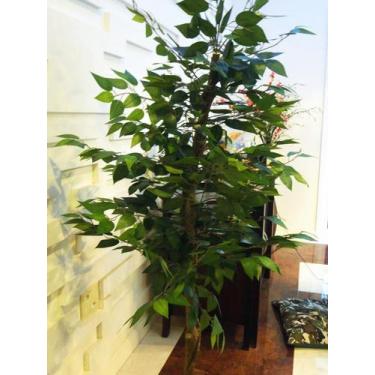 Imagem de Planta Artificial Árvore FICUS CLASSIC 1,80 metros de altura - Flora G