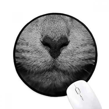 Imagem de DIYthinker Tapete de rato animal gato fotografia foto tapete redondo para computador