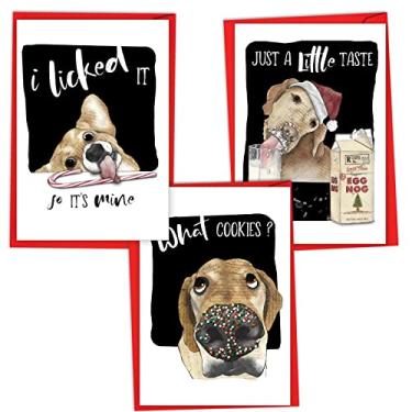 Imagem de NobleWorks Pacote sortido de 3 cartões de Natal com envelopes, sortimento de férias de humor para homens e mulheres (3 designs, 1 cada) Hungry Dog Antics VC7839XSG-C1x3